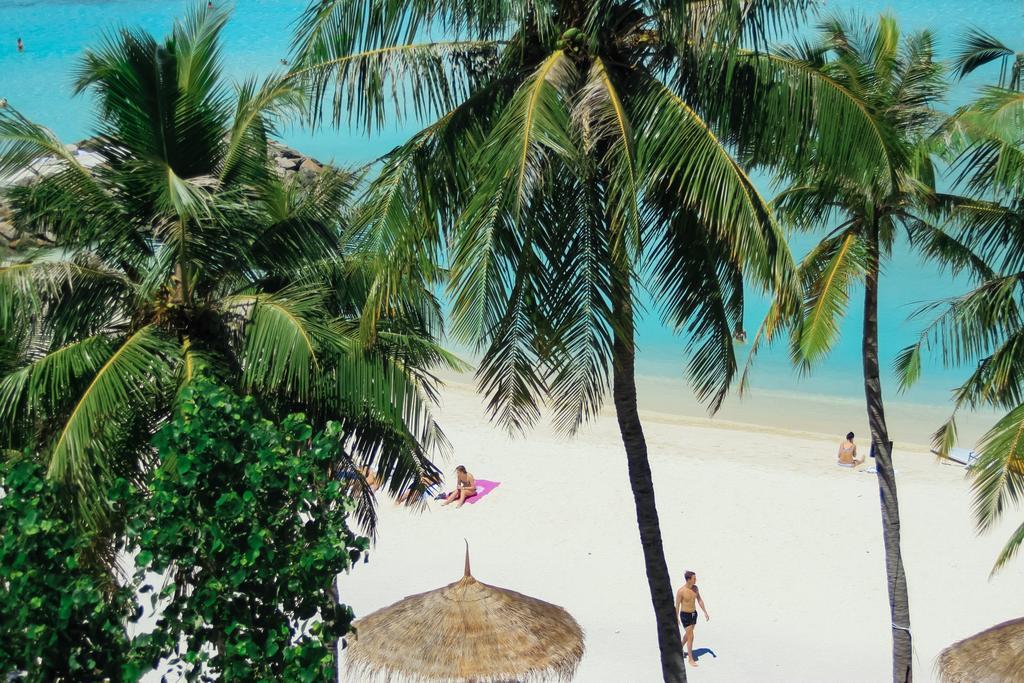 Seashore Beach Inn Maafushi Eksteriør bilde
